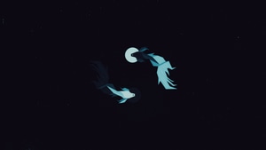 Fish, Dark, Black, Minimalism, Minimalist, Artist, Artwork, Digital Art, 4K wallpaper