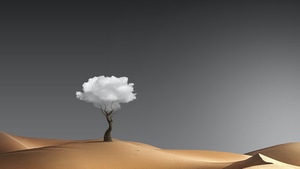 Manipulation, Desert, Tree, Artist, Artwork, Digital Art, 4K wallpaper