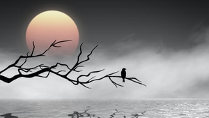 Bird, Artist, Artwork, Digital Art, 4K wallpaper