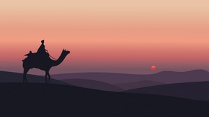 Camel, Desert, Minimalism, Minimalist, Artist, Artwork, Digital Art, Behance, 4K wallpaper
