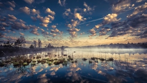 Morning, Nature, 4K wallpaper