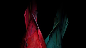 Birds, Dark, Black, Oled, Behance, Abstract, 4K wallpaper