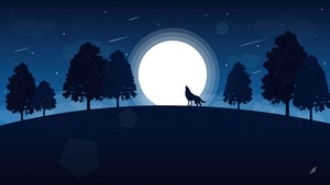 Wolf, Vector, Illustration, Artist, Artwork, Digital Art, 4K wallpaper