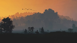 The Witcher 3, Games, Ps4 Games, Xbox Games, Pc Games, Sword, 2022 Games, Minimalism, Minimalist, 4K wallpaper