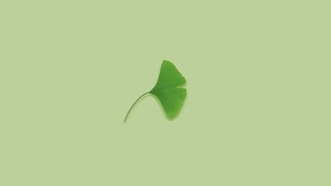 Artist, Artwork, Digital Art, Minimalism, Minimalist, 4K wallpaper
