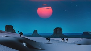 Camel, Desert, Outrun, Artist, Artwork, Digital Art, 4K wallpaper