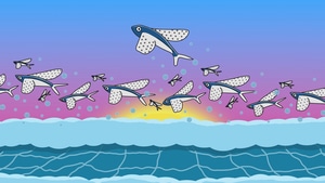 Dolphin, Artist, Artwork, Digital Art, 4K wallpaper