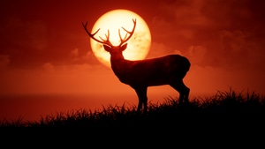 Deer, Artist, Artwork, Digital Art, Artstation, 4K wallpaper