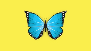 Butterfly, Minimalism, Minimalist, Artist, Artwork, Digital Art, 4K wallpaper