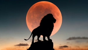 Lion, Silhouette, Artist, Artwork, Digital Art, 4K wallpaper