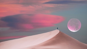 Outrun, Alone, Artist, Artwork, Digital Art, 4K wallpaper