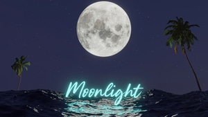 Typography, Moon, Artist, Artwork, Digital Art, Artstation, 4K wallpaper