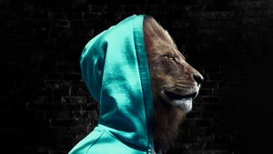 Lion, Hoodie, Artist, Artwork, Digital Art, 4K wallpaper