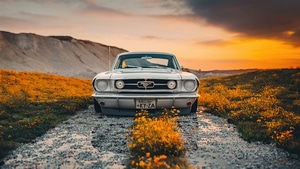 Ford Mustang, Ford, 2022 Cars, Cars, Artstation, 4K wallpaper