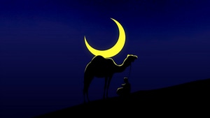 Camel, Minimalism, Minimalist, Artist, Artwork, Digital Art, 4K wallpaper