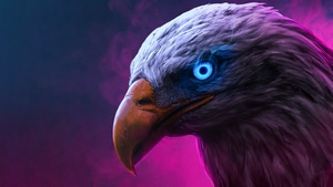 Eagle, Artist, Artwork, Digital Art, 4K wallpaper