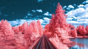 Artist, Artwork, Digital Art, 4K wallpaper