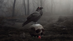 Raven, Artist, Artwork, Digital Art, Deviantart, 4K wallpaper