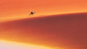 Desert, Camel, Artist, Artwork, Digital Art, 4K wallpaper