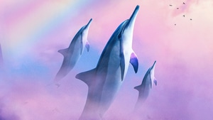 Dolphin, Artist, Artwork, Digital Art, 4K wallpaper