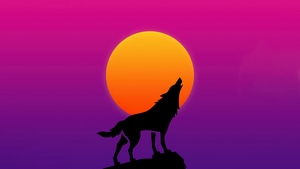 Fox, Artist, Artwork, Digital Art, Artstation, Minimalism, Minimalist, 4K wallpaper