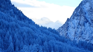 Mountains, Snow, Forest, Nature, 4K wallpaper