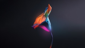 Artist, Artwork, Digital Art, Behance, 4K wallpaper