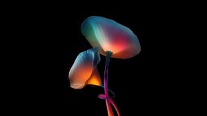 Artist, Artwork, Digital Art, Dark, Black, Behance, Oled, 4K wallpaper