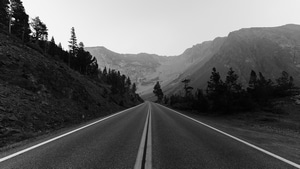 Monochrome, Road, Trees, Landscape, Photography, 4K wallpaper