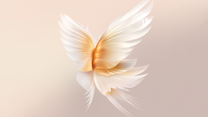 Angel wings, Peach background, Honor, Stock, 4K wallpaper