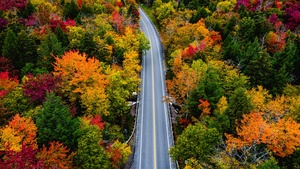 Autumn, Landscape, Road, Maple trees, Fall Colors, USA, Country road, 4K wallpaper