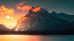 Morning, Nature, 4K wallpaper