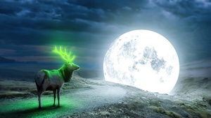Reindeer, Moon, Artist, Artwork, Digital Art, 4K wallpaper