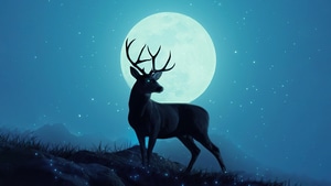 Reindeer, Minimalism, Minimalist, Artist, Artwork, Digital Art, 4K wallpaper