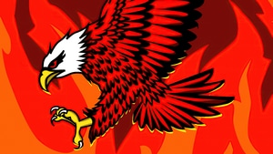Eagle, Artist, Artwork, Digital Art, 4K wallpaper