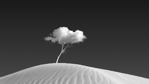 Tree, Cloud, Photography, Monochrome, Black And White, 4K wallpaper