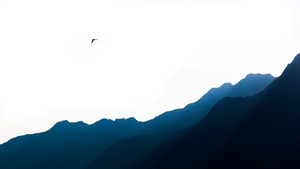 Silhouette, Artist, Artwork, Digital Art, 4K wallpaper