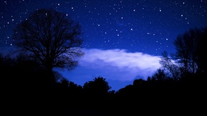 Stars in sky, Dark blue, Silhouette, Night sky, 4K wallpaper
