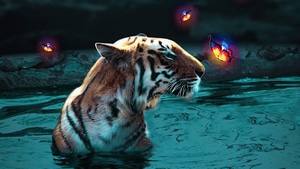 Tiger, Animals, Artist, Artwork, Digital Art, 4K wallpaper