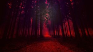 Forest, Artist, Artwork, Digital Art, 4K wallpaper