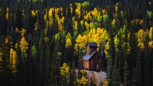 Red Mountain Pass, Autumn, Pine trees, 4K wallpaper