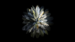 Oppo Find N3, AMOLED, Abstract design, Stock, Black background, 4K wallpaper