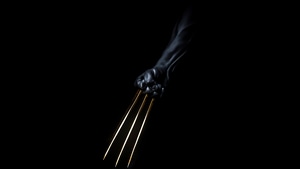 Wolverine, Superheroes, Artist, Artwork, Digital Art, Dark, Black, 4K wallpaper