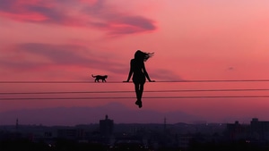Silhouette, Alone, Cat, Artist, Artwork, Digital Art, 4K wallpaper