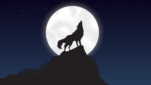 Wolf, Minimalism, Minimalist, Artist, Artwork, Digital Art, , 12k, 4K wallpaper