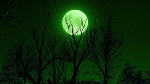 Moon, Nature, 4K wallpaper