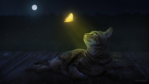 Cat, Butterfly, Artist, Artwork, Digital Art, Deviantart, 4K wallpaper