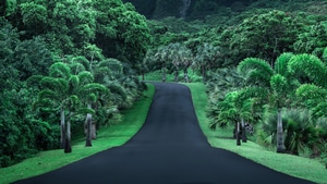 Nature, Road, 4K wallpaper