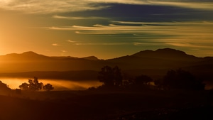 Desert, Morning, Mist, Nature, 4K wallpaper