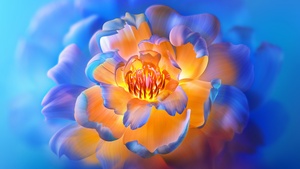 Peony flowers, Bloom, Aesthetic, Xiaomi TV, Stock, Floral Background, 4K wallpaper